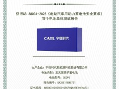 宁德时代成为首家通过动力电池新国标企业  车企电池商加速布局