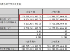 比亚迪一季度净利润登顶A股上市车企榜首  海外市场成重要引擎