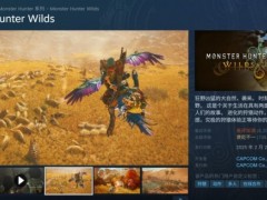 《怪物猎人：荒野》口碑崩盘，Steam在线人数反超不过前作《世界》