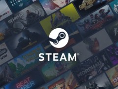 Steam账号“能继承吗”？玩家热议数字遗产归属权