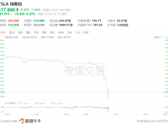 特斯拉夜盘跳水跌超7%，跌破300美元！特朗普：也许应该让政府效率部好好查一下马斯克和他的公司获得的补贴